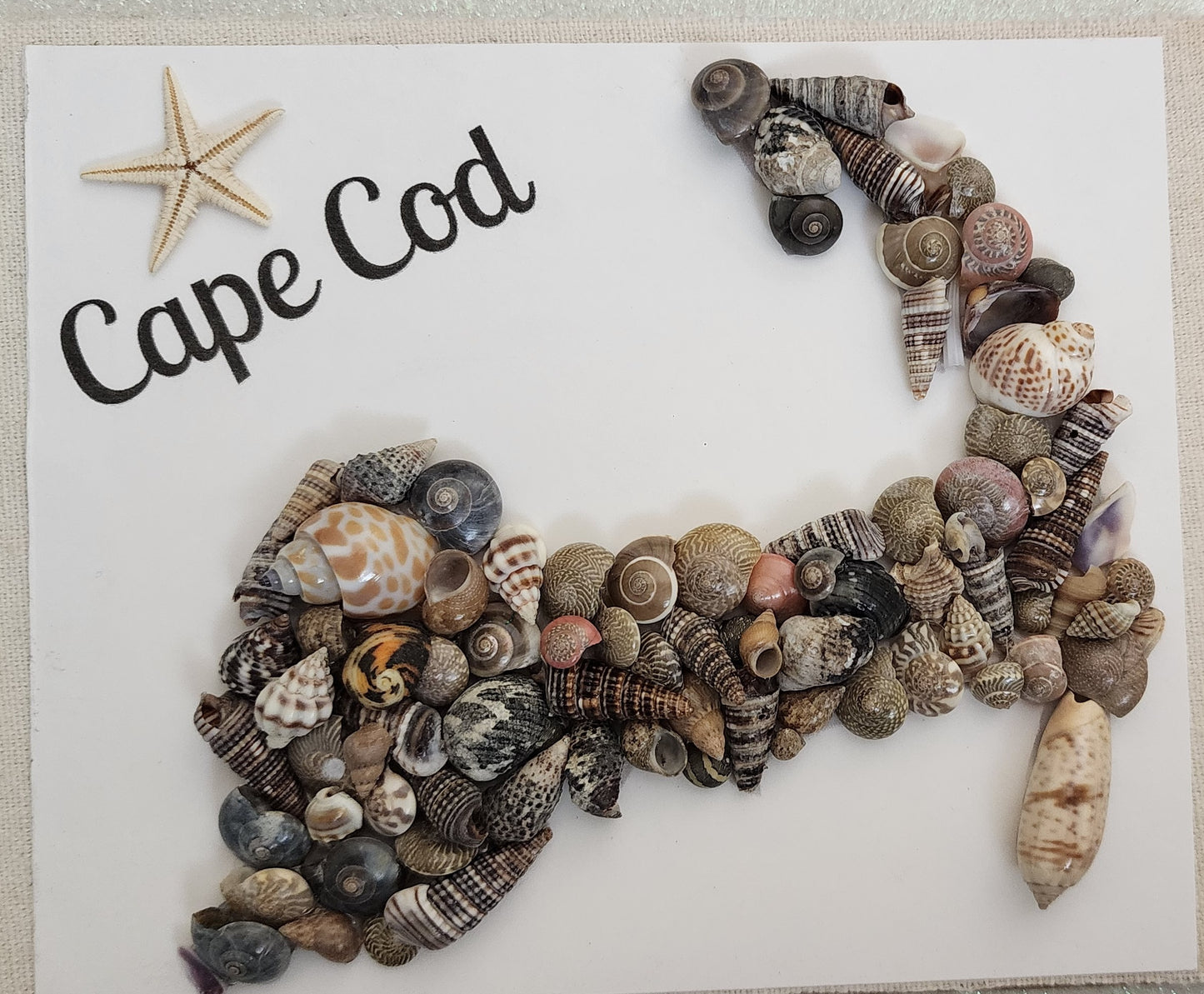 Cape Cod Frame #3 (shells)
