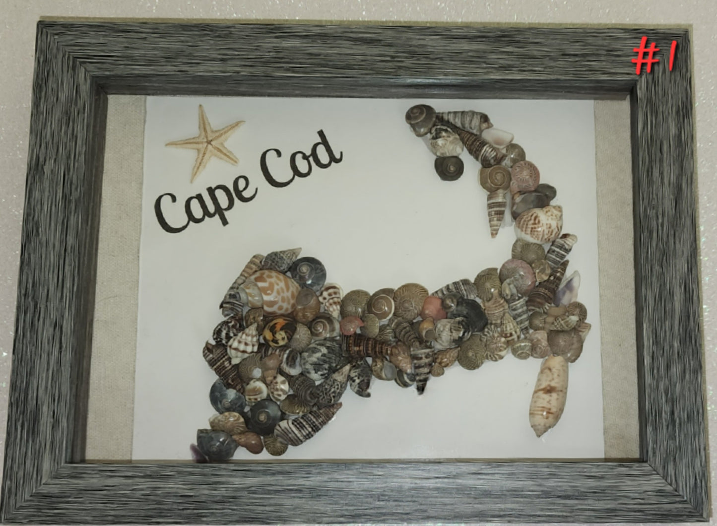 Cape Cod Frame #3 (shells)